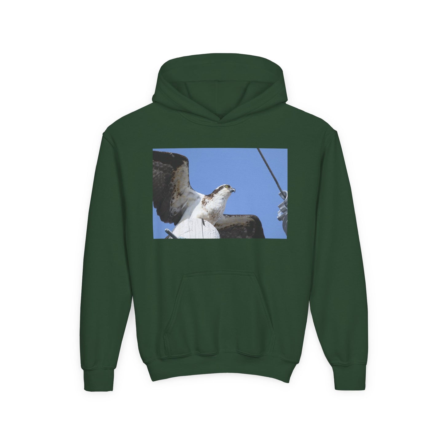 Youth Osprey Photo Hoodie — Kids Birdwatching Nature Pullover