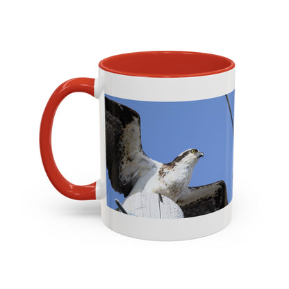 Osprey Photo Accent Coffee Mug – Wildlife Bird Photography Drinkware (11/15 oz)