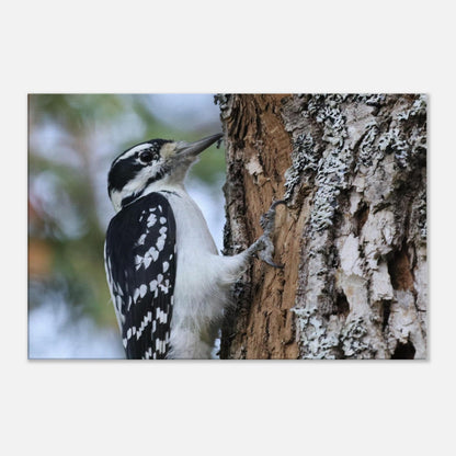 3192e914-311c-48e9-a44e-1dab24760ae5