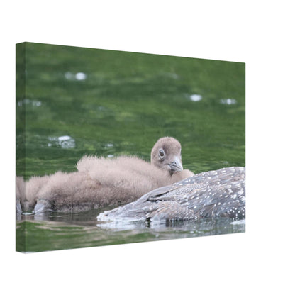 31957d6e-723b-4f0c-9033-70e4b45cd30f