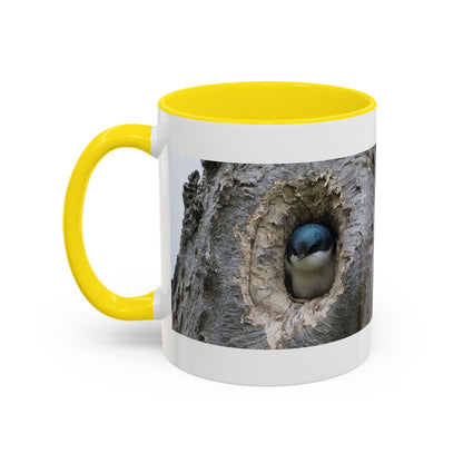Bluebird in Tree Cavity Accent Coffee Mug — Nature Wildlife Ceramic Mug (11/15oz)
