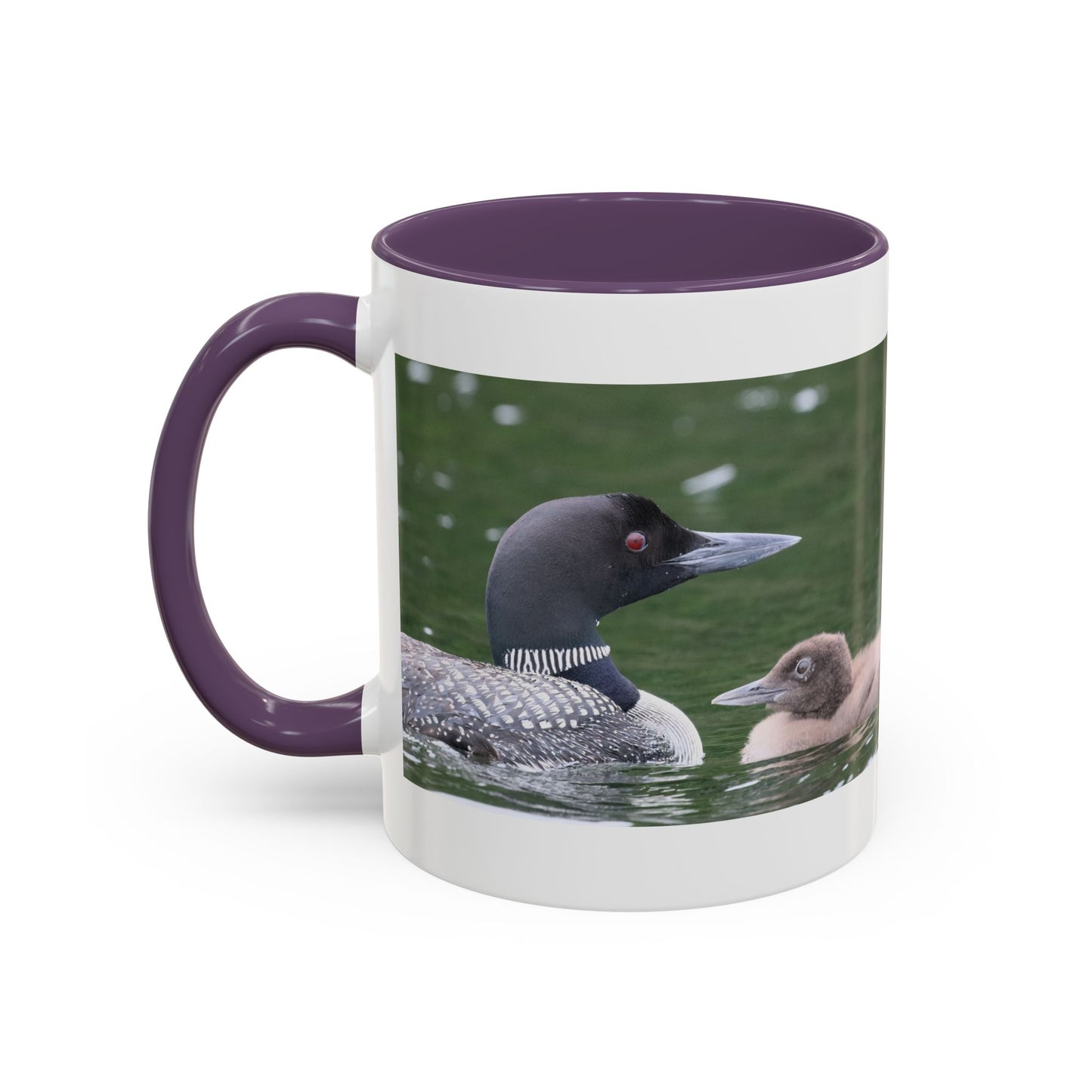 Loon Family Accent Coffee Mug – Wildlife Photo Tea Mug (11/15 oz)