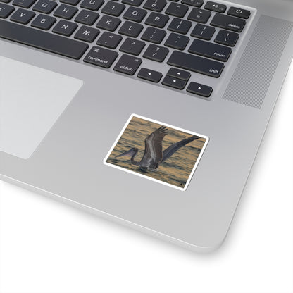 Brown Pelican Kiss-Cut Sticker — Coastal Wildlife Photography Sticker