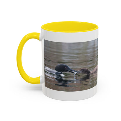 Bufflehead Duck Photo Accent Coffee Mug — Nature Lover Wildlife Gift (11/15oz)