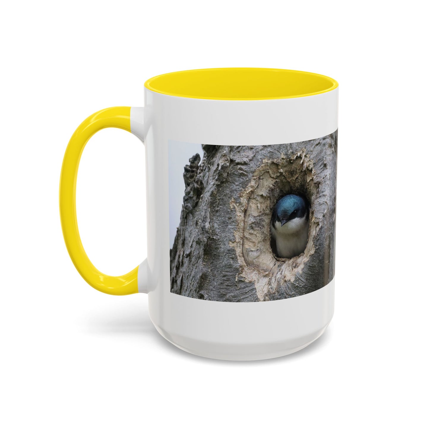 Bluebird in Tree Cavity Accent Coffee Mug — Nature Wildlife Ceramic Mug (11/15oz)