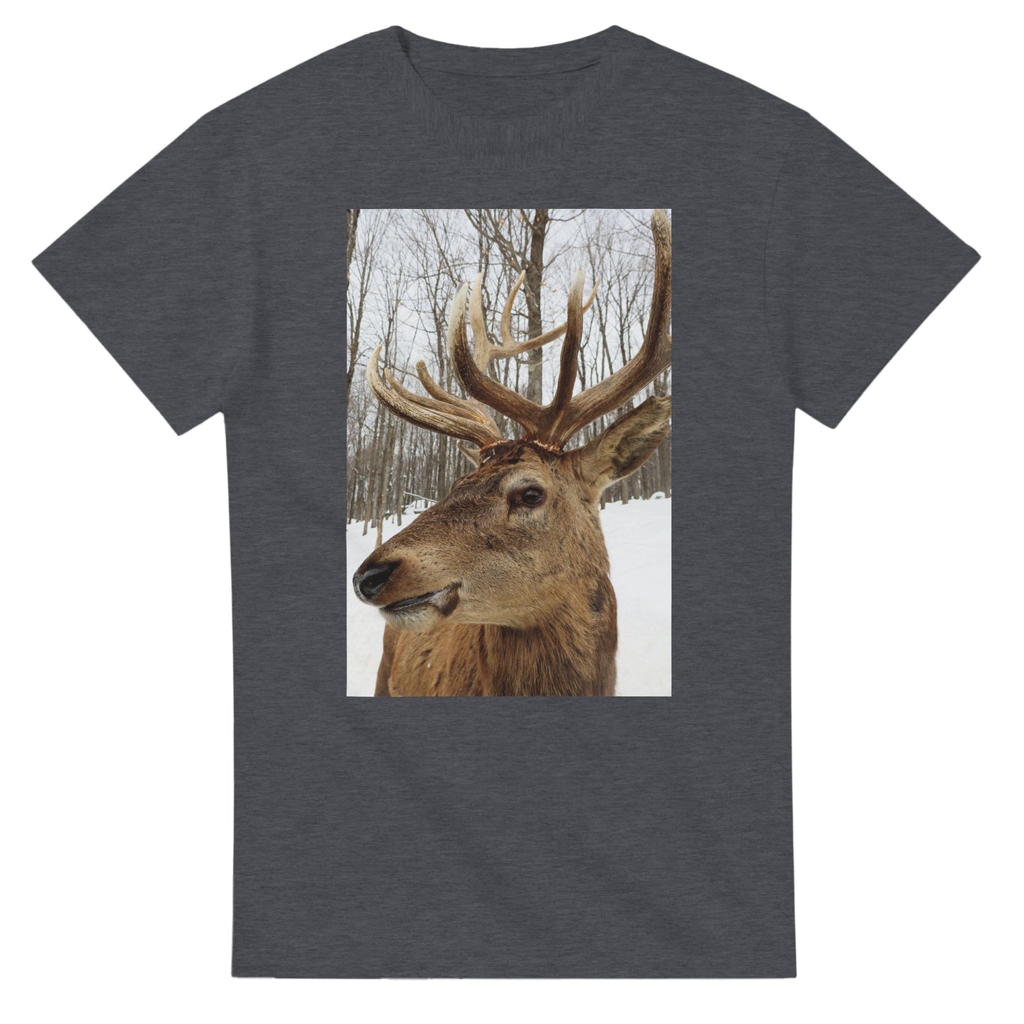 32ab2549-1005-48a9-9de3-b93825312754