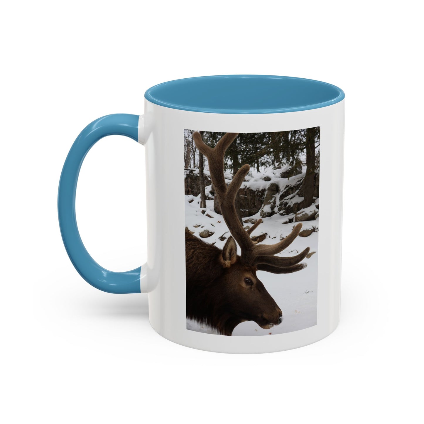 Elk in Snow Accent Coffee Mug — Nature Wildlife Photo Mug (11/15oz)