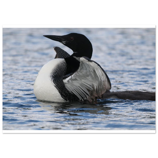 33089d25-a8de-4002-92a8-700749dfa76b