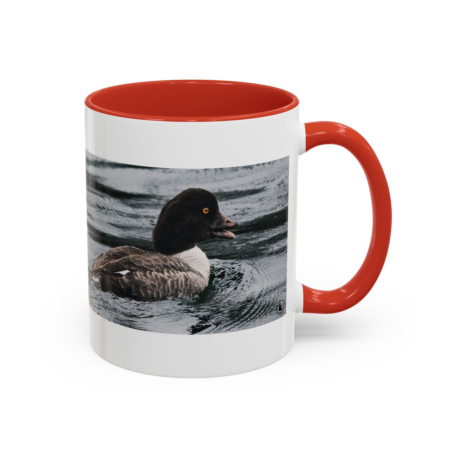 Goldeneye Duck Photo Accent Coffee Mug — Wildlife Nature Lover Gift (11/15 oz)