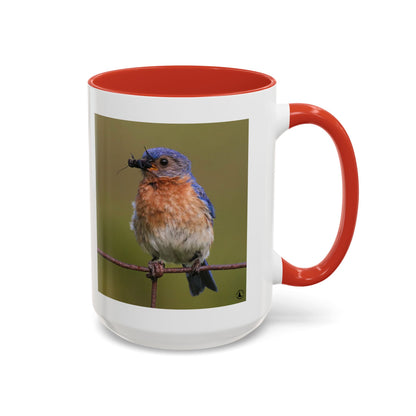 Bluebird Photo Coffee Mug — Eastern Bluebird with Insect Accent Mug (11/15 oz)