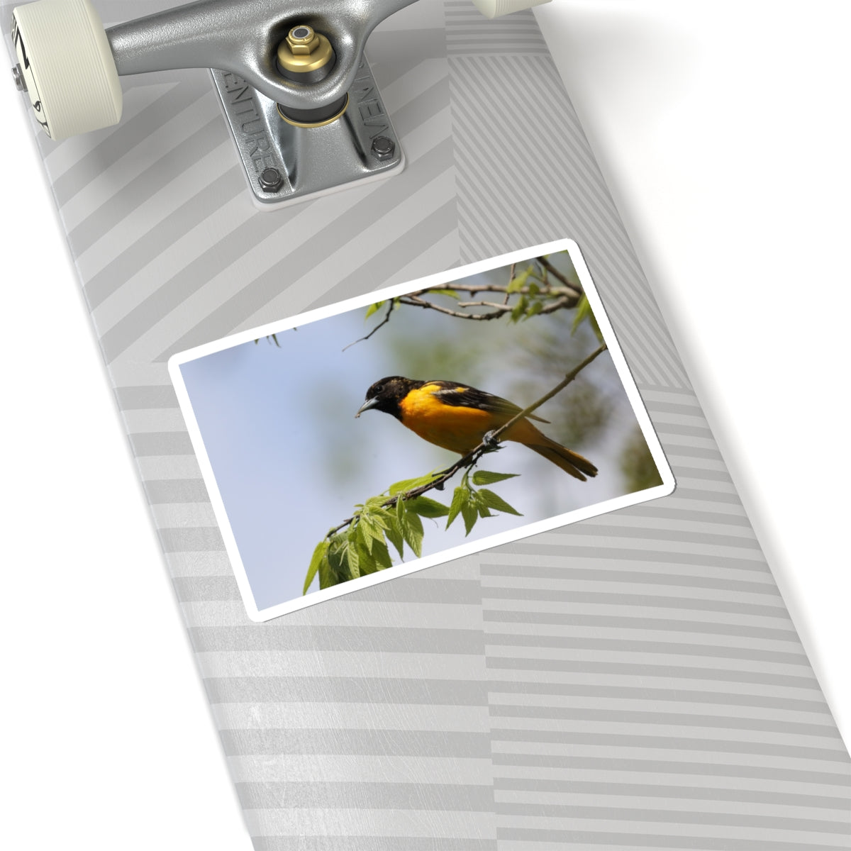 Oriole Bird Sticker — Vibrant Yellow Songbird Laptop Decal