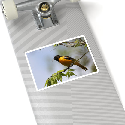 Oriole Bird Sticker — Vibrant Yellow Songbird Laptop Decal