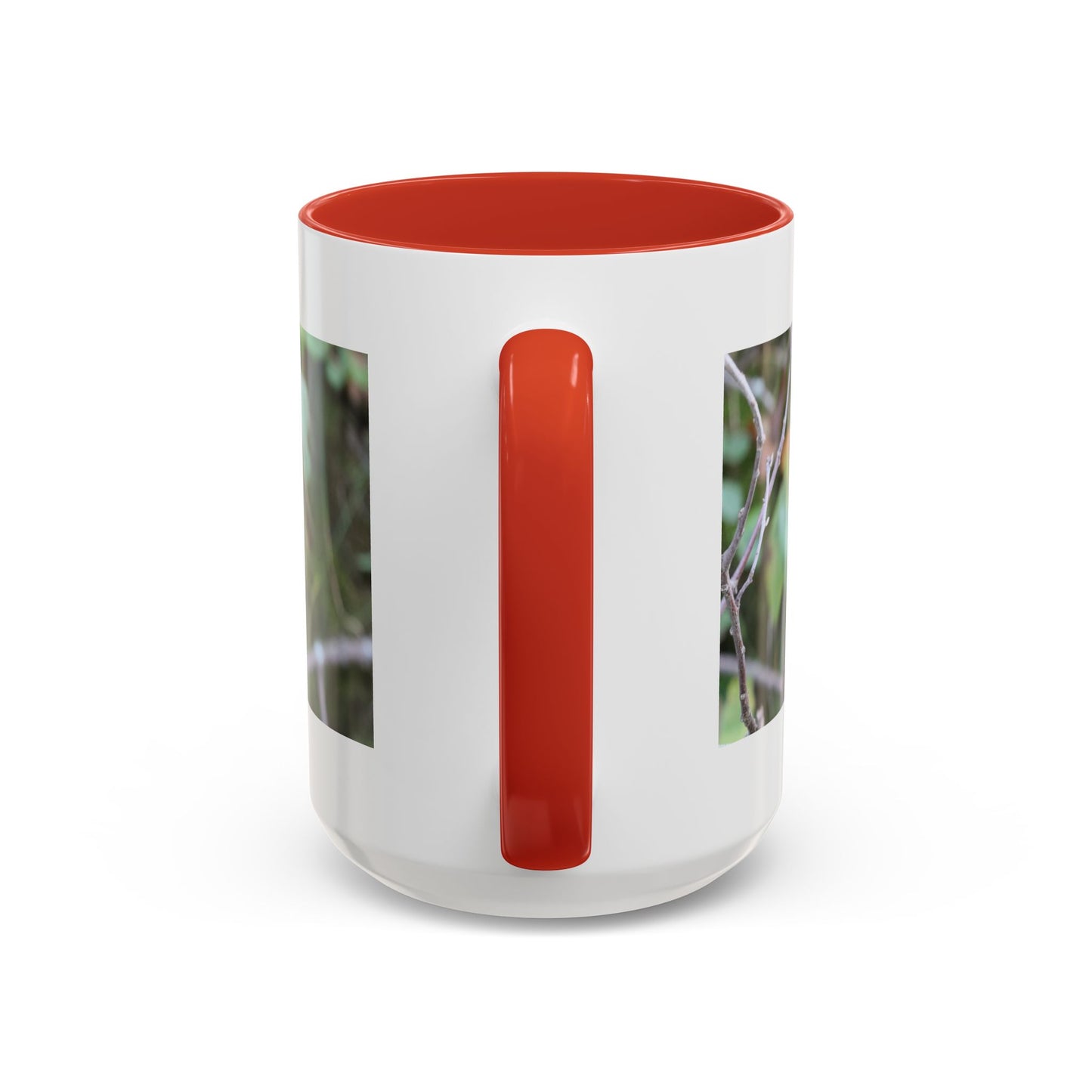Cute Mink Photo Accent Mug – Wildlife Photography Coffee Cup (11/15 oz)