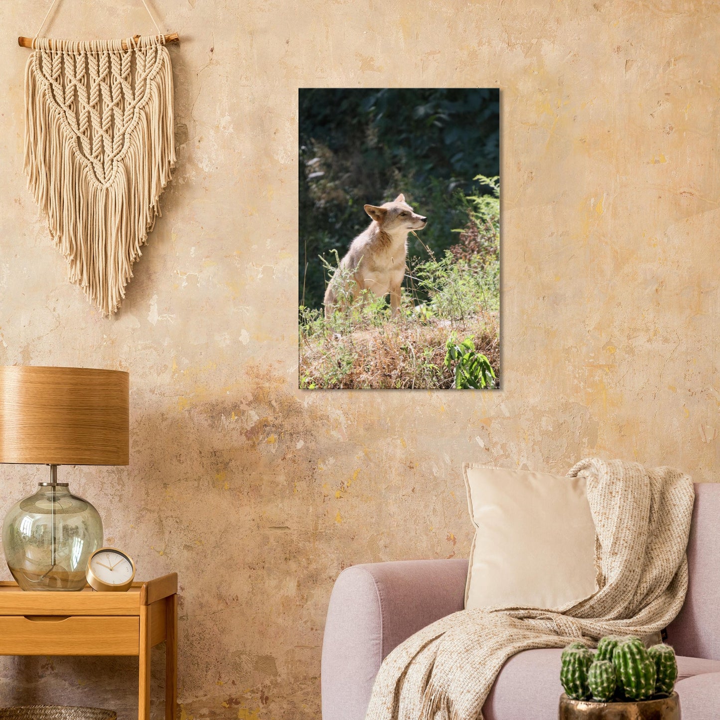 343a9162-7539-4158-900a-e65cccefdaea