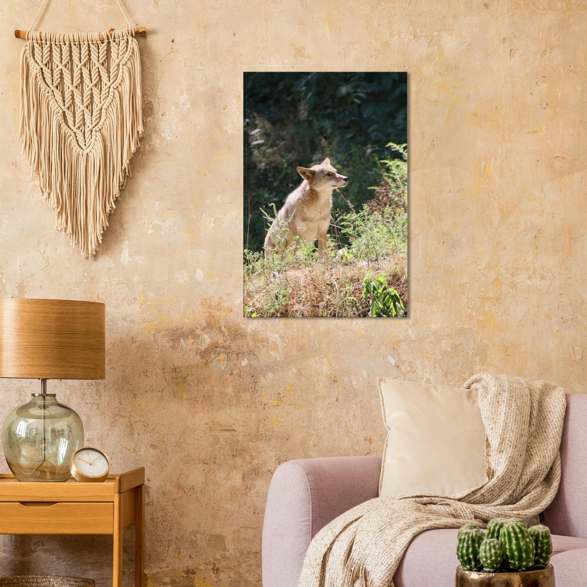 343a9162-7539-4158-900a-e65cccefdaea