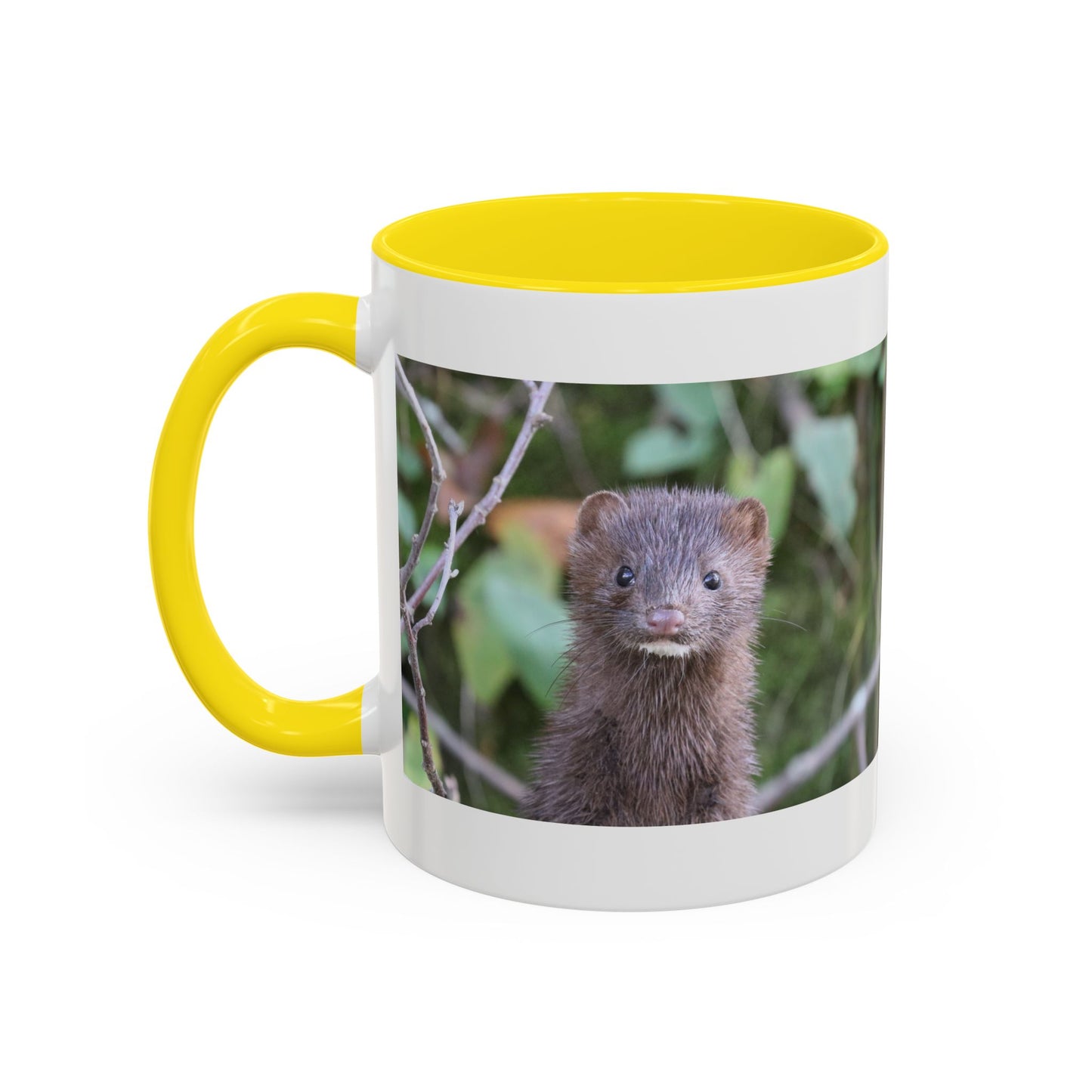 Cute Mink Photo Accent Mug – Wildlife Photography Coffee Cup (11/15 oz)