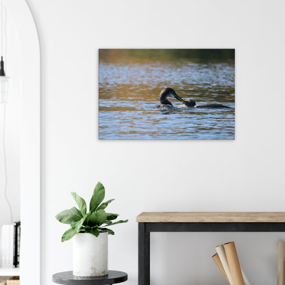 344d583a-f58a-4eeb-ab8d-d482861daf12