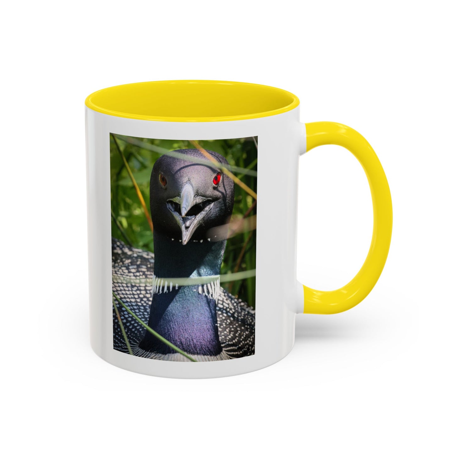 Common Loon Photo Accent Coffee Mug (11/15oz)
