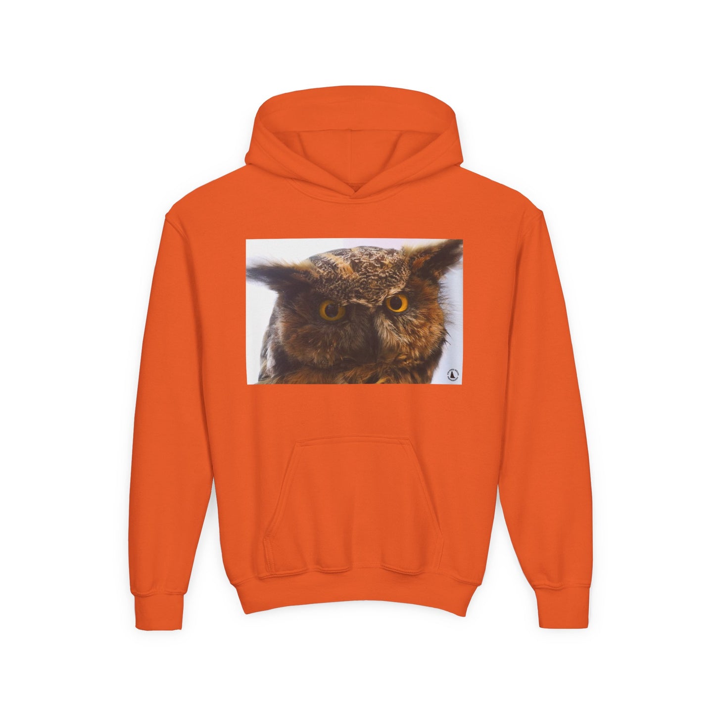 Youth Hoodie with Realistic Owl Art — Cute Kids Animal Pullover