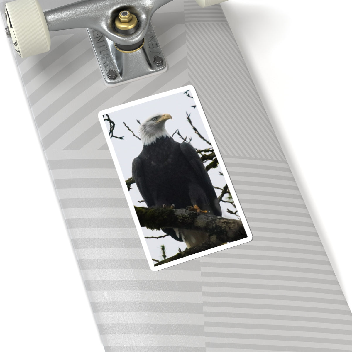 Bald Eagle Photo Kiss-Cut Sticker — Patriotic Wildlife Laptop Decal