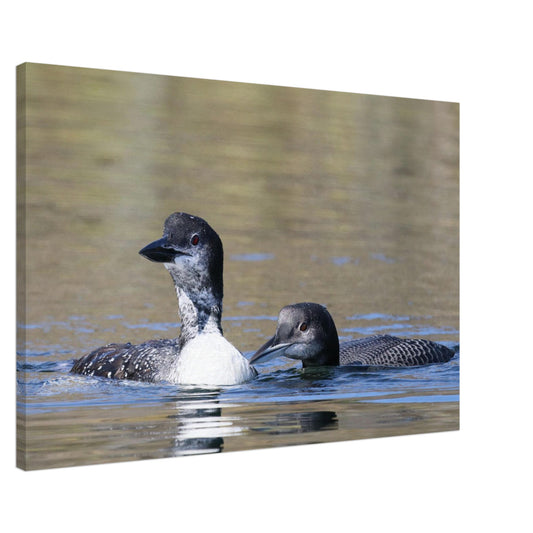 34976e2b-b47f-4973-bfc1-8dab715caa2d