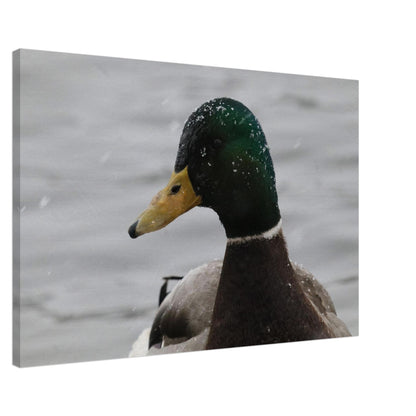 34be2d44-b088-4751-902b-53dbc14c1abd