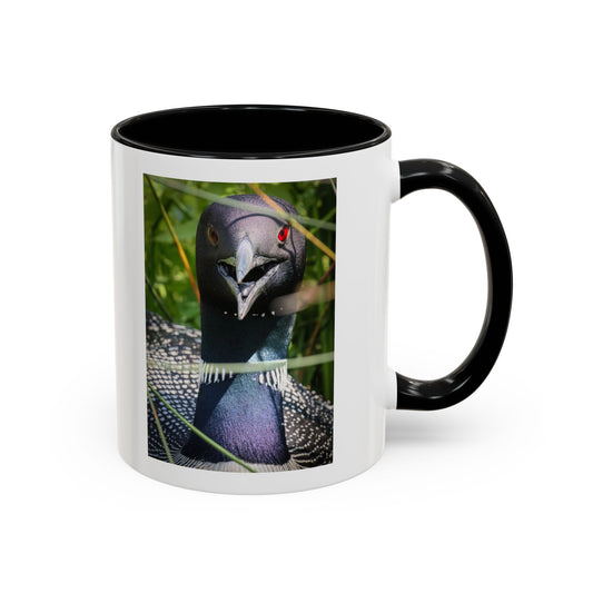 Common Loon Photo Accent Coffee Mug (11/15oz)