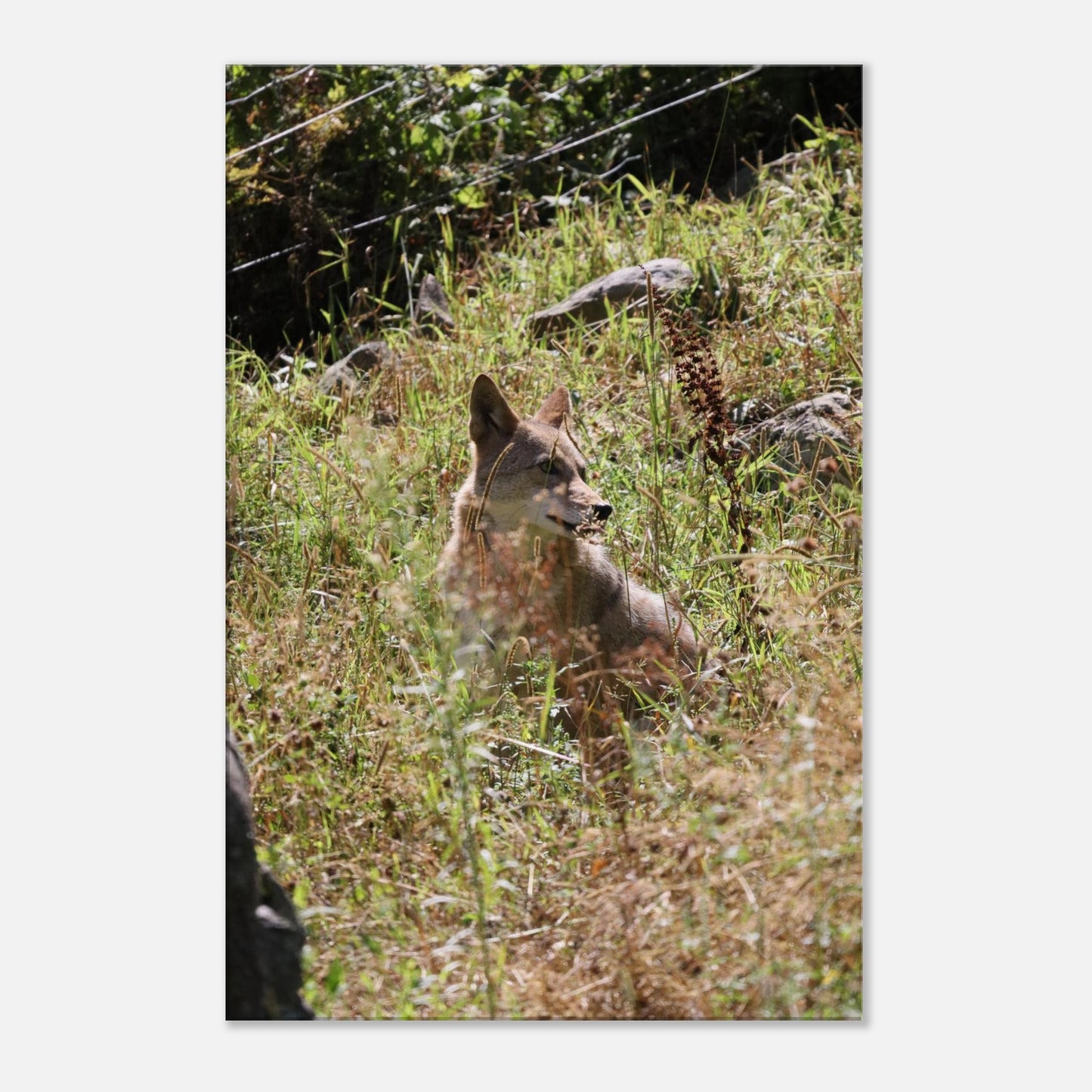 35276f63-a1f2-461c-a816-48312a862cb3