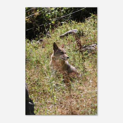 35276f63-a1f2-461c-a816-48312a862cb3