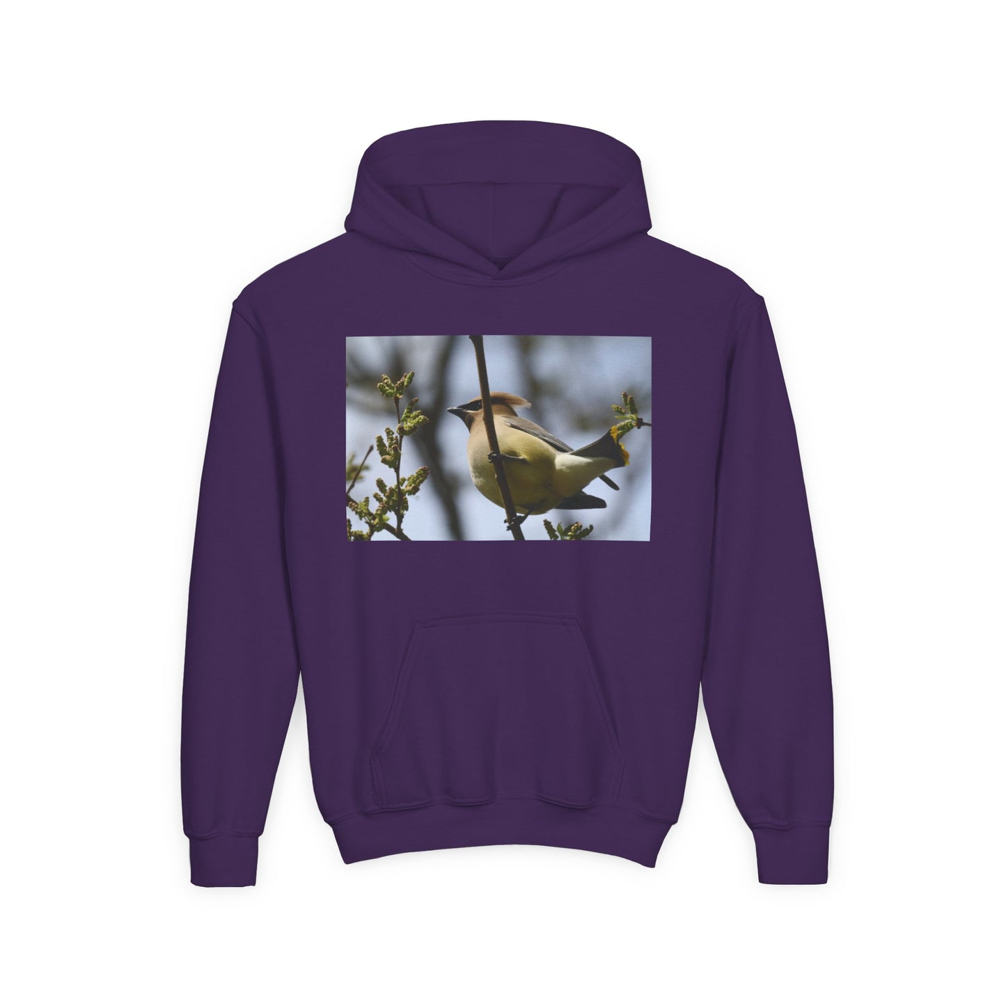 Cedar Waxwing Bird Hoodie | Youth Hooded Sweatshirt