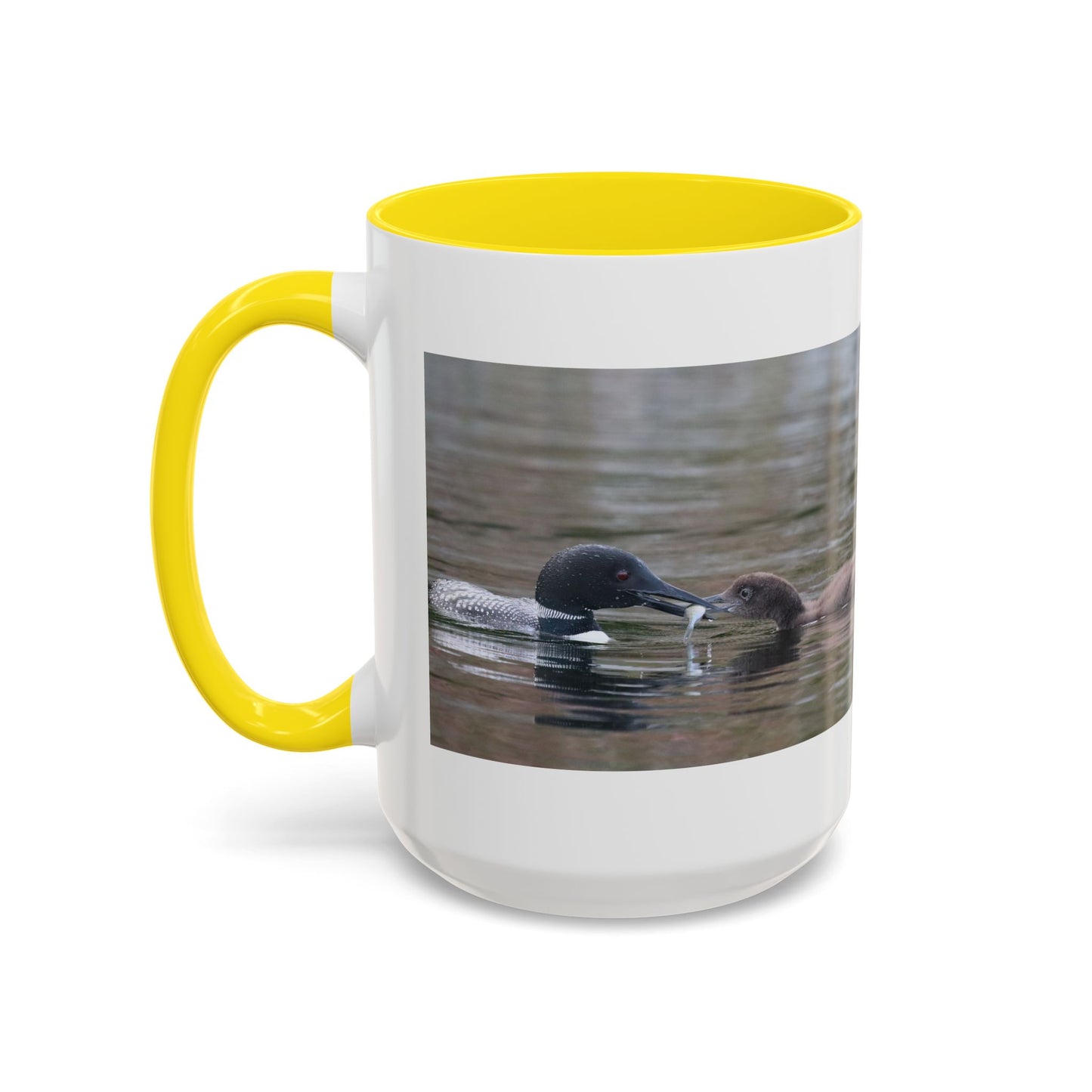 Bufflehead Duck Photo Accent Coffee Mug — Nature Lover Wildlife Gift (11/15oz)
