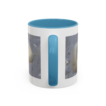 Arctic Fox Photo Accent Coffee Mug – Winter Wildlife Ceramic Mug (11/15oz)