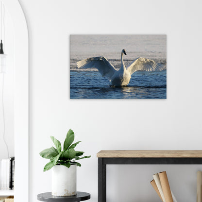 35be4bb8-666f-4d5a-b841-941587bb35f7