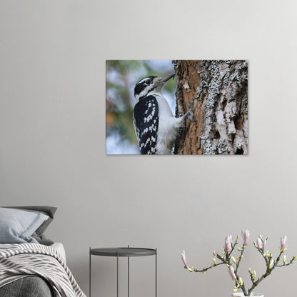 35e99e3b-1e31-433d-9cc8-0f28fd9bce1d