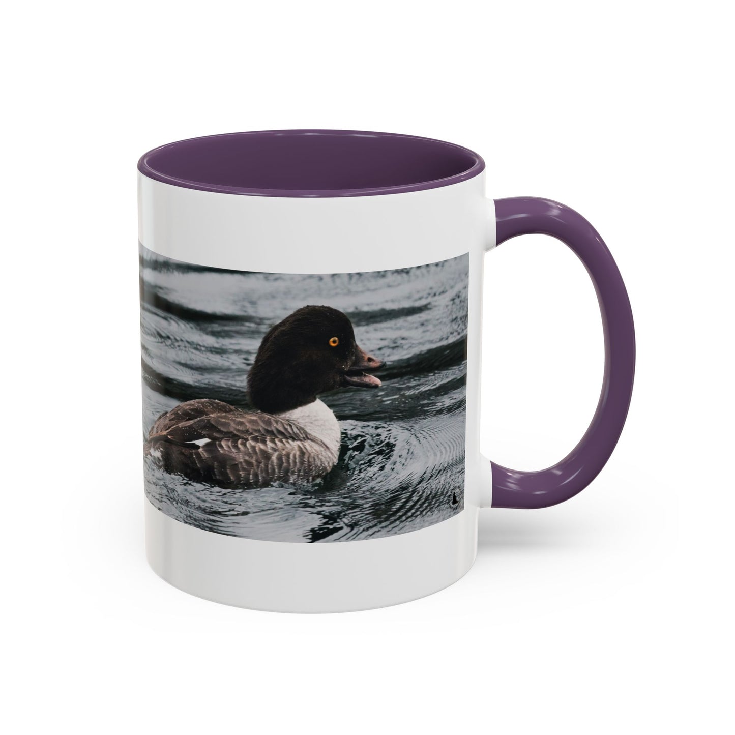Goldeneye Duck Photo Accent Coffee Mug — Wildlife Nature Lover Gift (11/15 oz)
