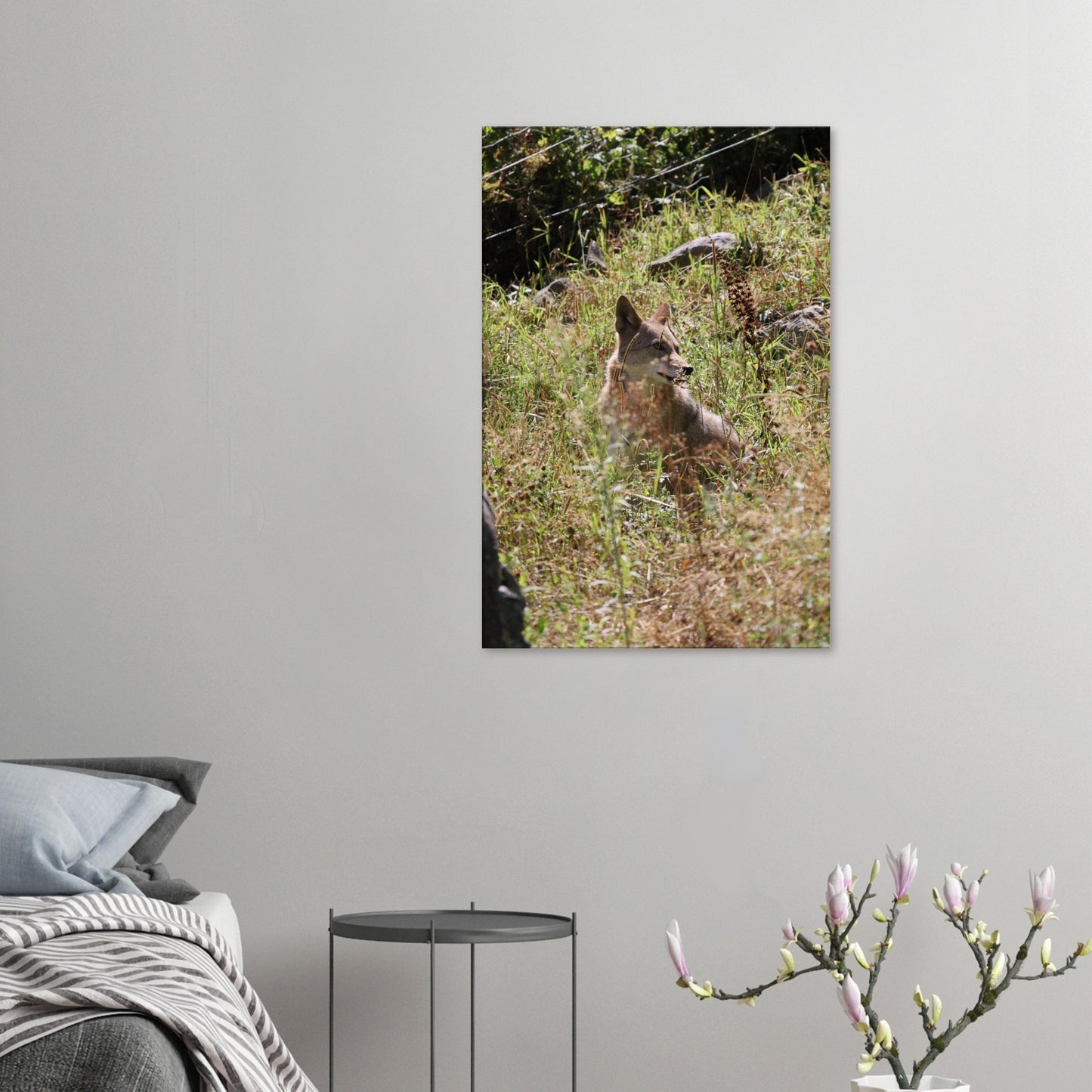 3647b1c8-c326-4179-9f7f-9e7c893384c0