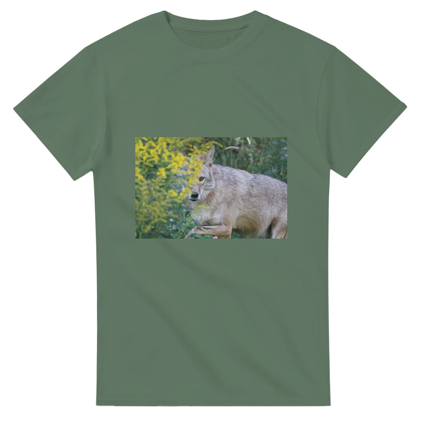 3657d740-70f8-4623-9c8a-dab47699b3e9