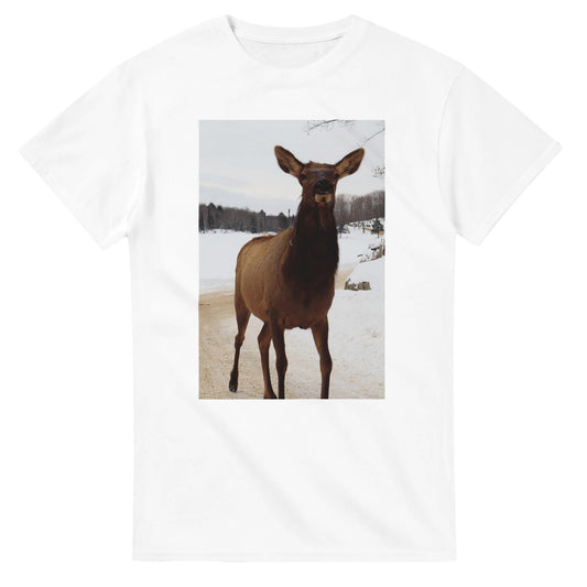 36807e89-a06a-4a28-9b2c-7fdf283b41c7