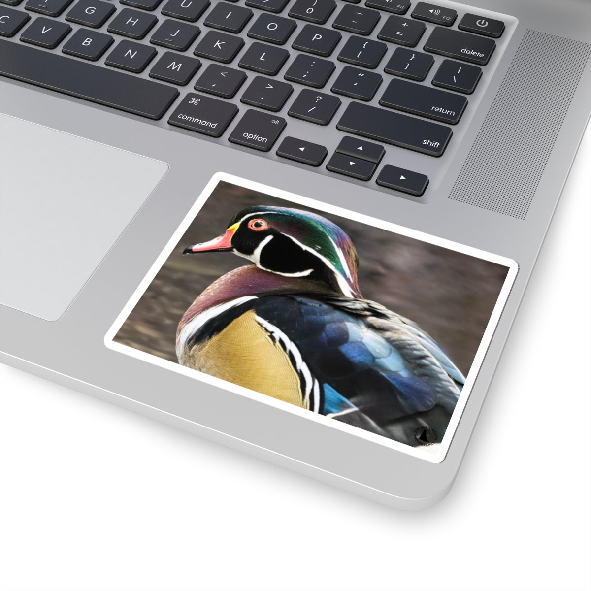 Wood Duck Kiss-Cut Sticker — Colorful Waterfowl Vinyl Decal for Laptop, Water Bottle, Planner