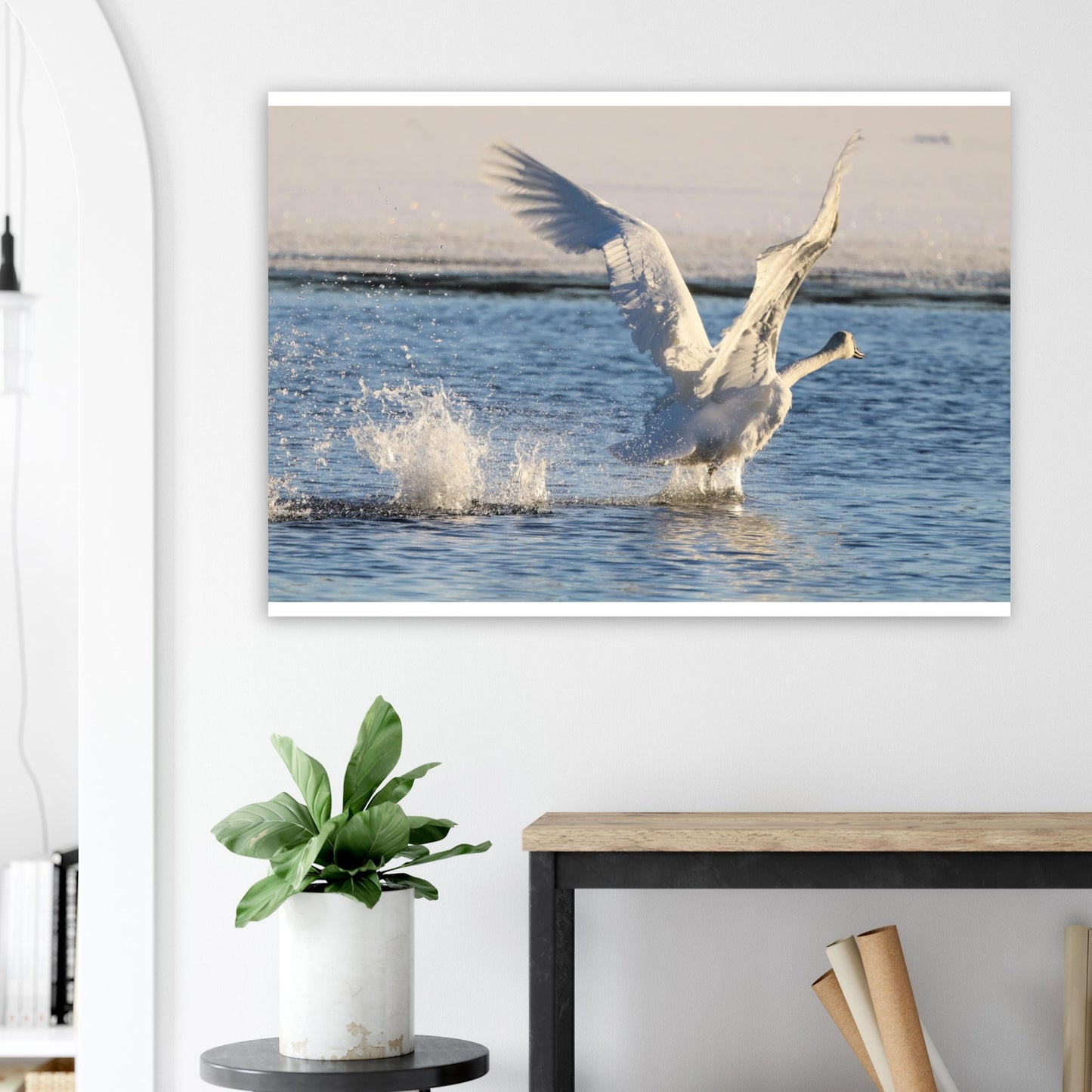 36db1f63-f69e-403d-9afe-1ffe0dd85fca