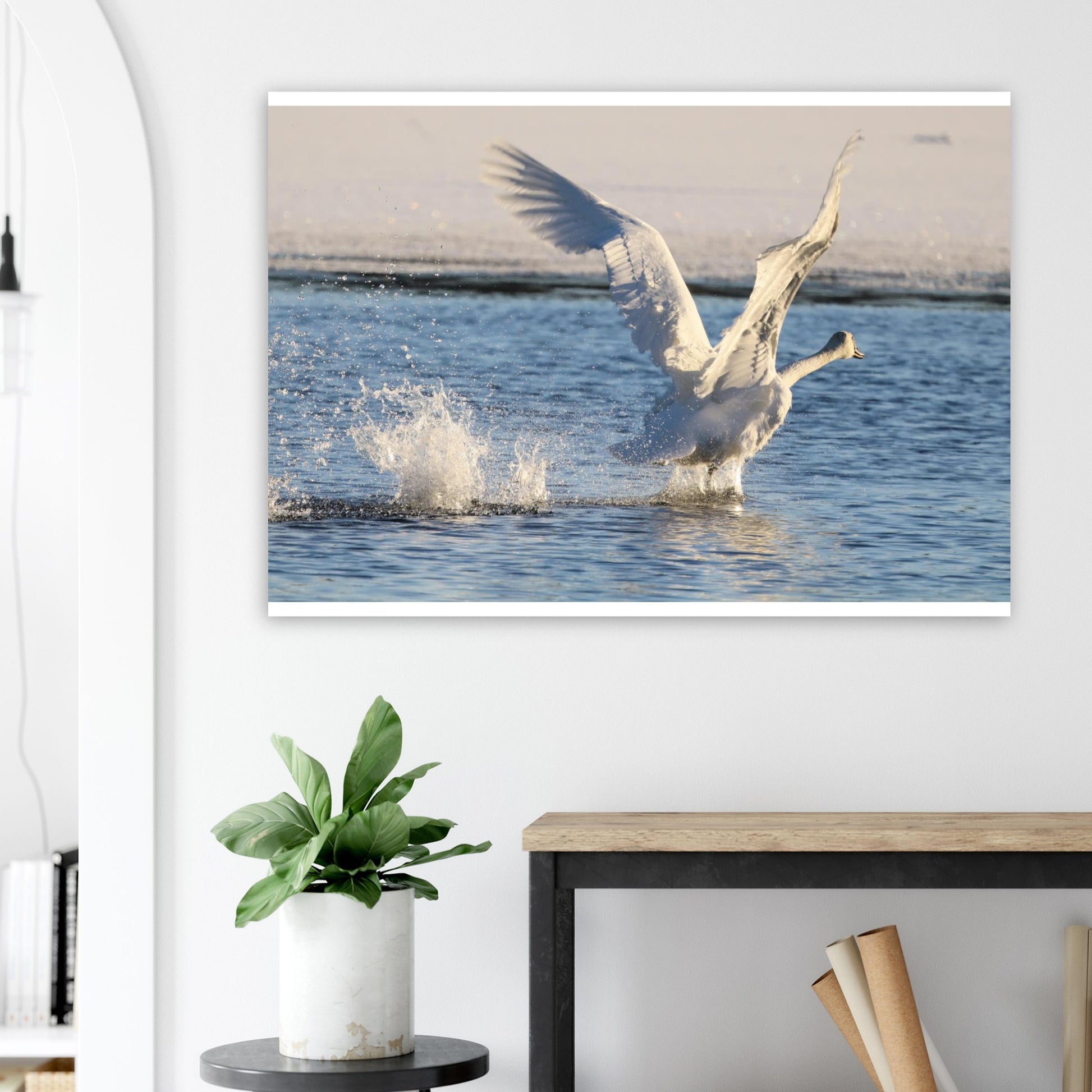 36db1f63-f69e-403d-9afe-1ffe0dd85fca