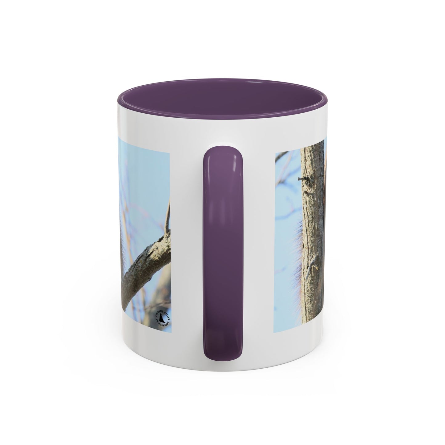 Porcupine Photo Accent Coffee Mug — Wildlife Nature Lover Gift (11/15oz)