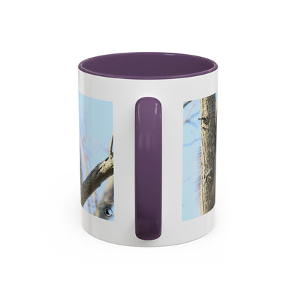 Porcupine Photo Accent Coffee Mug — Wildlife Nature Lover Gift (11/15oz)