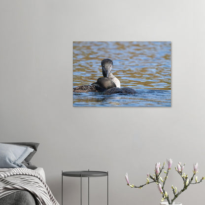 3734f6a7-767b-40de-a75f-344e50705fc5