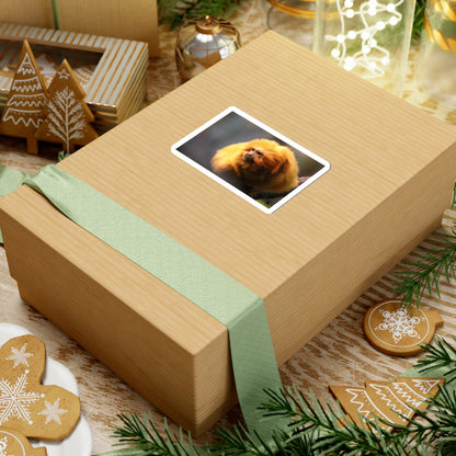 Golden Lion Tamarin Sticker — Cute Tropical Monkey Laptop Decal