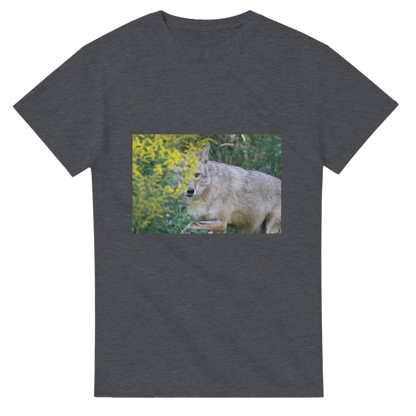 37603fd1-07d7-47d1-848b-40f3a9a920cd