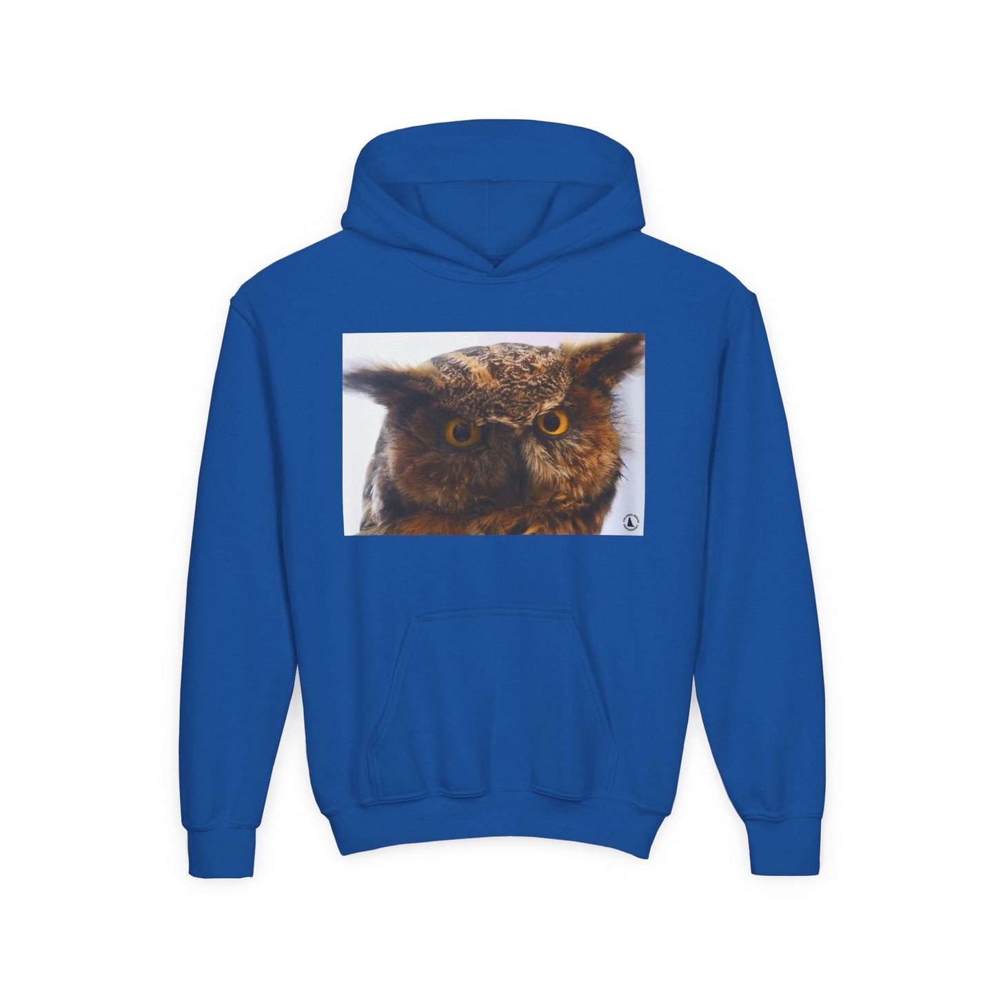 Youth Hoodie with Realistic Owl Art — Cute Kids Animal Pullover