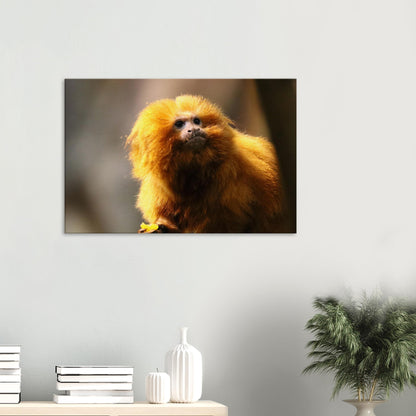 37da325a-ff8d-4a00-a77f-9af498249d56