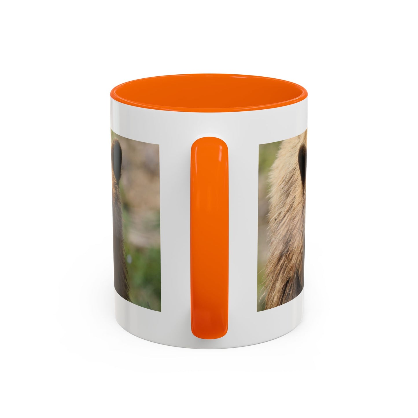 Funny Brown Bear Photo Accent Coffee Mug (11/15 oz)