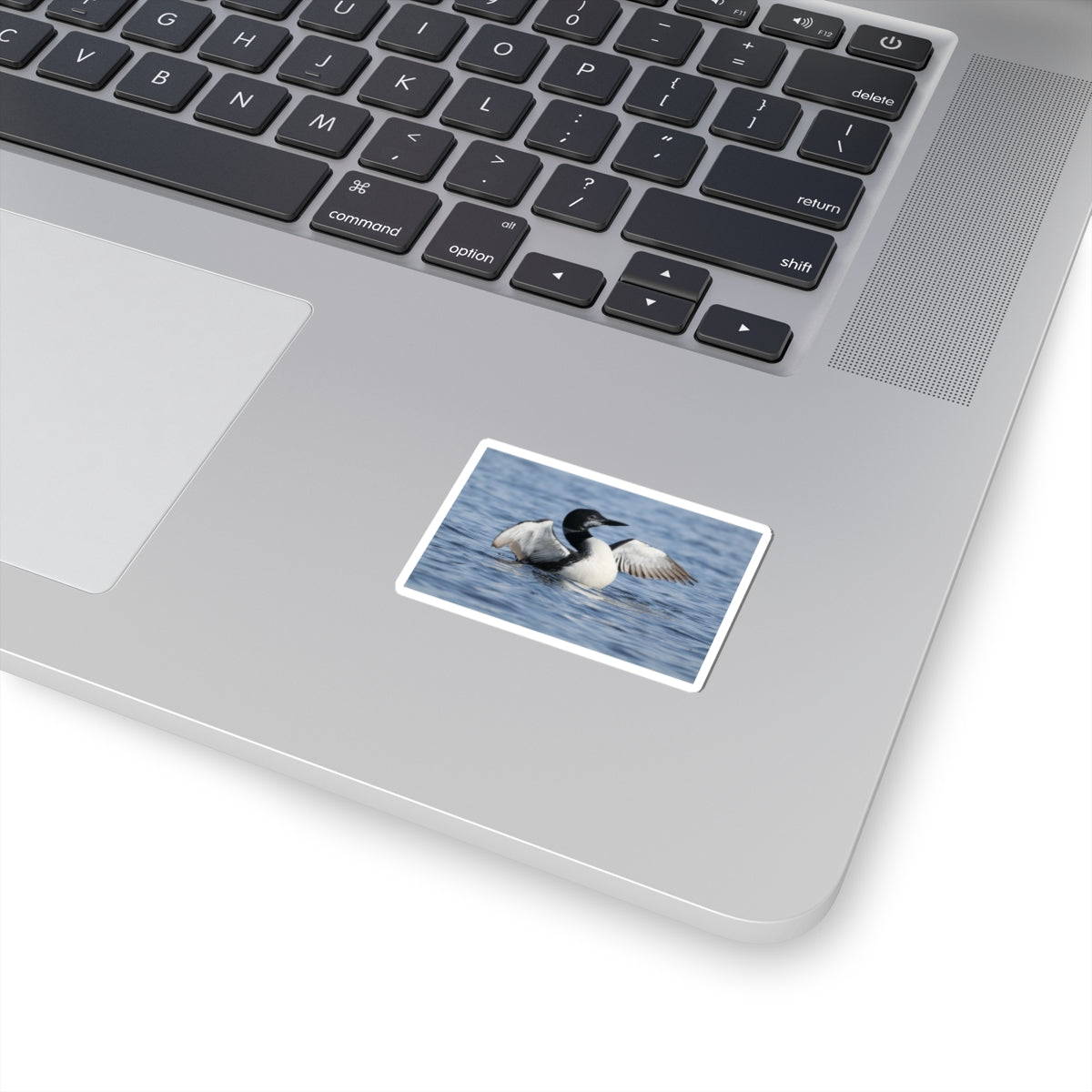 Common Loon Photo Sticker — Waterproof Kiss-Cut Sticker of Loon on Water
